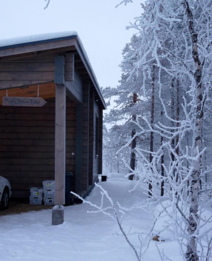 Arctic Nature Lodge Inari Εξωτερικό φωτογραφία